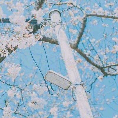 浪剑行手游下载